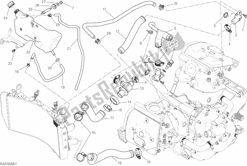Todas as partes de Sistema De Refrigeração do Ducati Monster 821 Stripes USA 2017